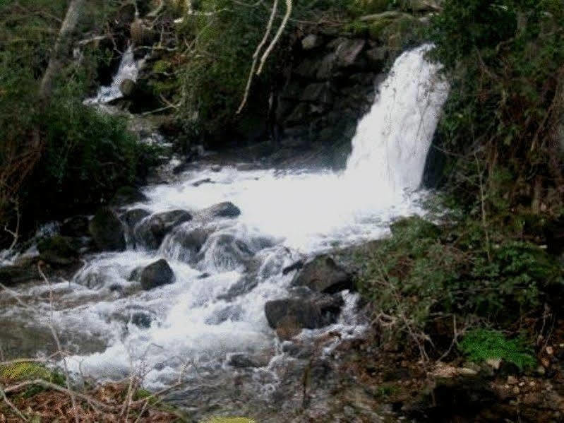 Quinta Do Lagar Da Moira Hotel Vila Franca da Serra Kültér fotó